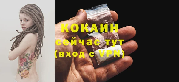 дживик Верея