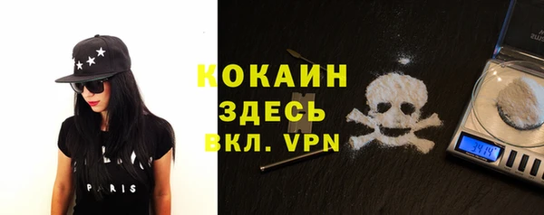 дживик Верея