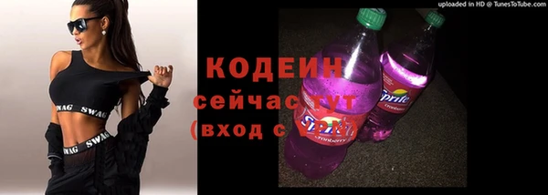 эйфоретик Вяземский
